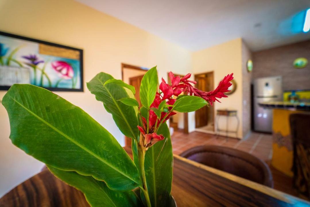 Casa Palmito Cerca De La Playa Βίλα Yelapa Εξωτερικό φωτογραφία